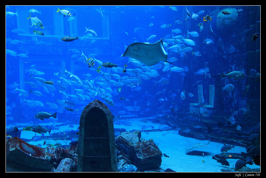 2012 - 06 - Dubai - 032